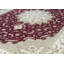 Oriental Area Rug