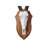 Karlea Real Blesbok Skull with Wooden Shield