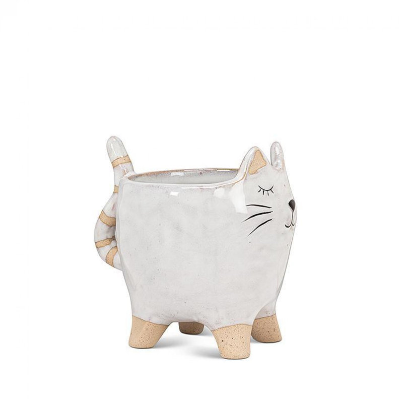 Chat blanc avec jardinière à queue rayée