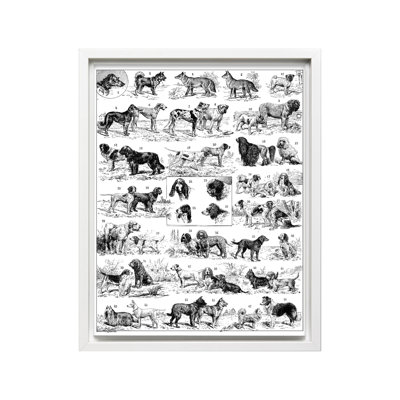 Tableau des races de chiens