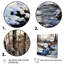 Winter Pond Tranquility - Fruits, art mural-1104528362-1104528361