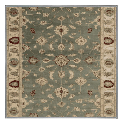 Machine Washable Overdyed Brown Area Rug