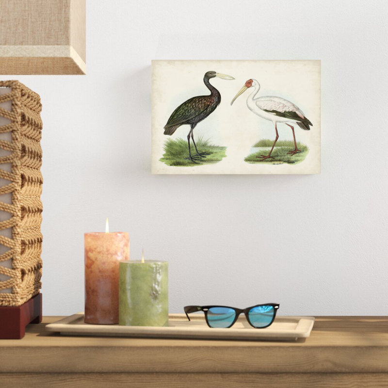 Oiseaux d'eau antiques I - peinture sur toile tendue, H 8 po x l 12 po