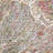 Nourison Vintage Harmony 8'10" x 11'2" Sage Multicolor Bohemian Indoor Rug-117649913
