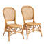 Lamont Side Chair in Natural
