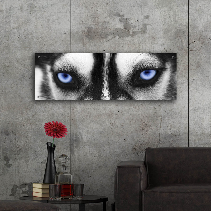 «Husky» par PhotoINC Studio, H 16 po x l 48 po
