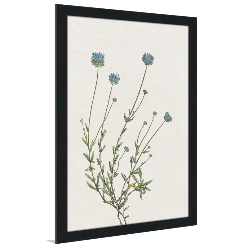 «Blue Wispy I» par Kelly Donovan - Peinture, L 33,5 po x H 49,5 po, Cadre noir