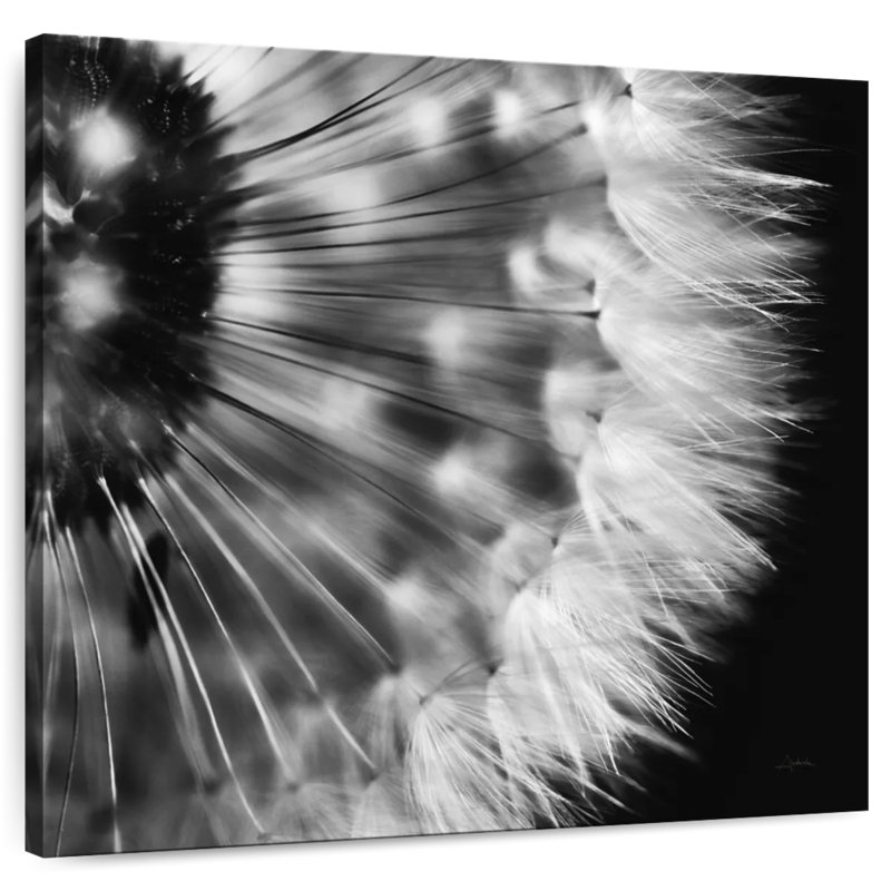 Harnek Dandelion On Black III, 10" H x 10" W