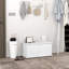 Oshri Storage Bench