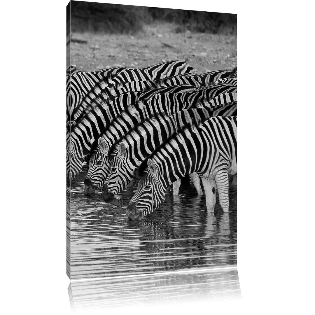 Leinwandbild Zebras an der Wasserstelle