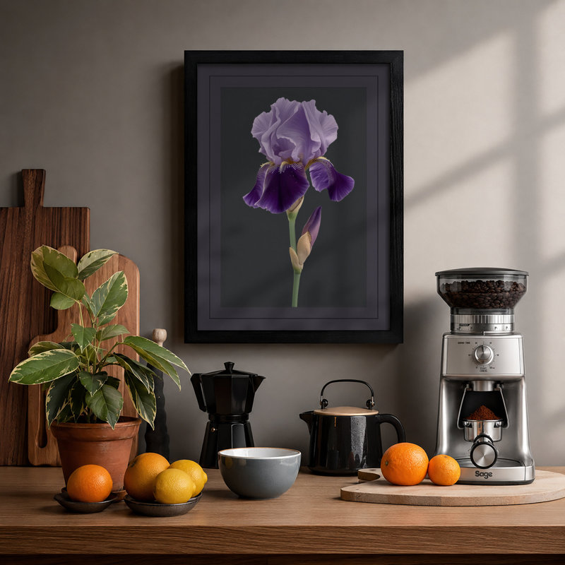 Iris In Lavender Botanical - Print, A2 - 59.4 x 42.0 cm, Black