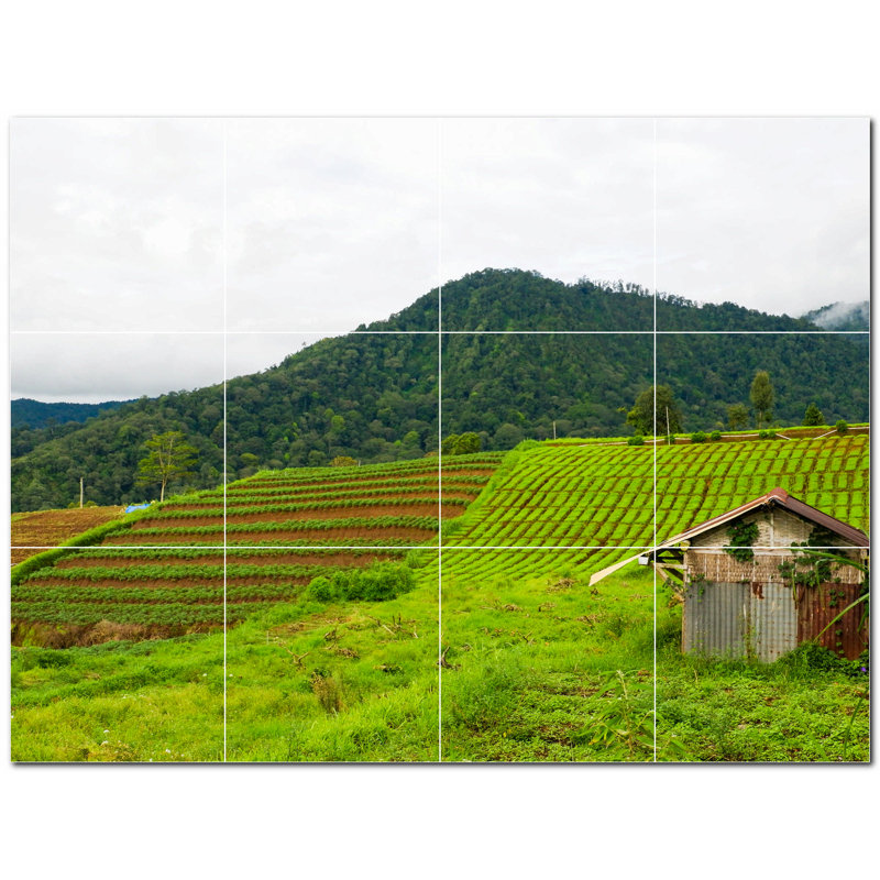 Photo de ferme 12 x 12
