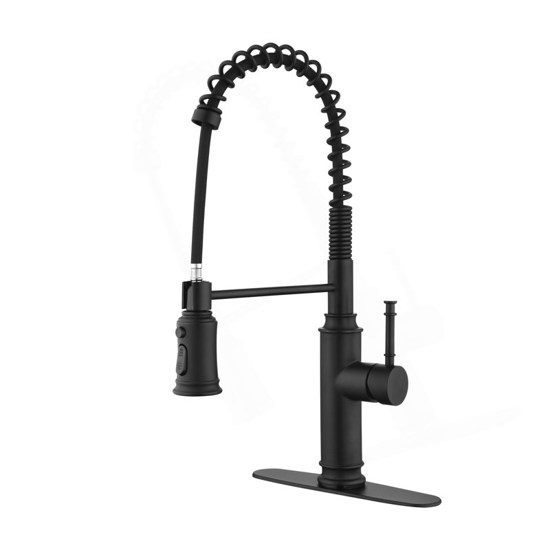 Robinet de cuisine évier de cuisine à poignée simple, Noir mat