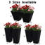 Pot à fleurs effilé en métal noir-432094184