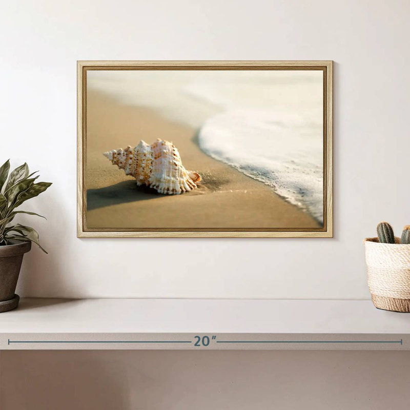 Coquillage sur la plage, Cadre flottant en bois naturel, 13 po x 9 po