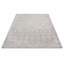 Juliana Oriental Area Rug-31339842