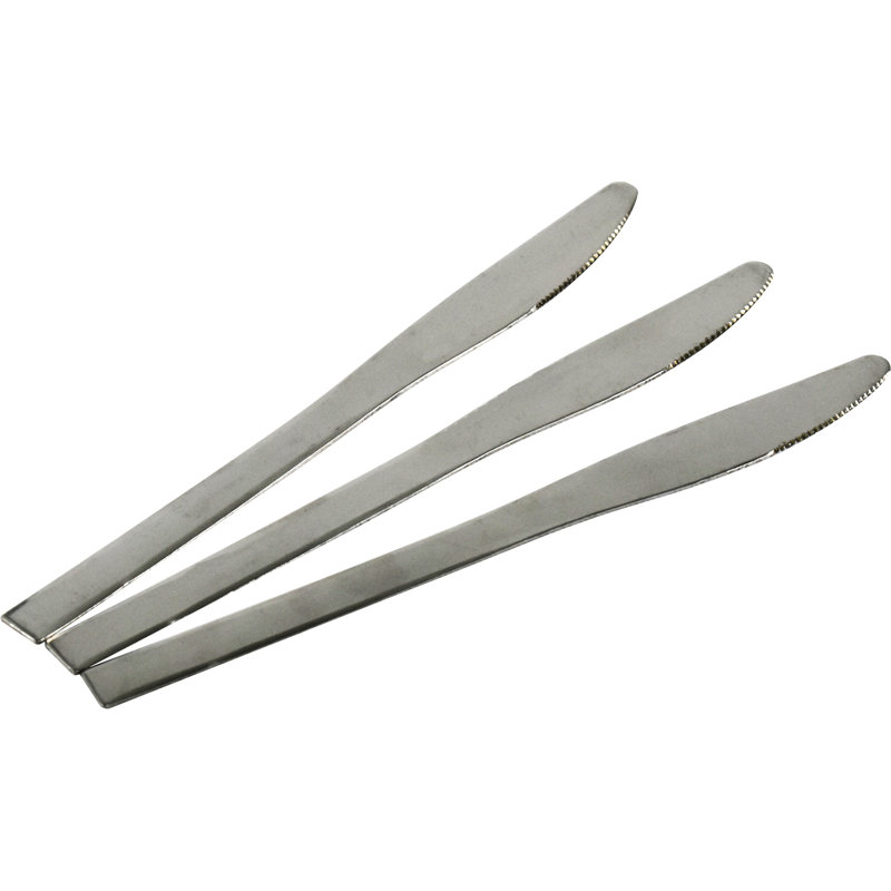 Stainless Steel Dinner Knife