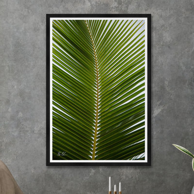 Palmier tropical