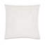 Rena Square Pillow Cover & Insert