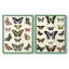 Impression encadrée Flutterbys I-Premium - prête à être accrochée - aucun clou requis - aucun clou requis-1080437603-1080437608