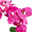 Orchidée artificielle rose en pot 13 po avec plantes succulentes