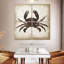Crabe Brampt II-109111176