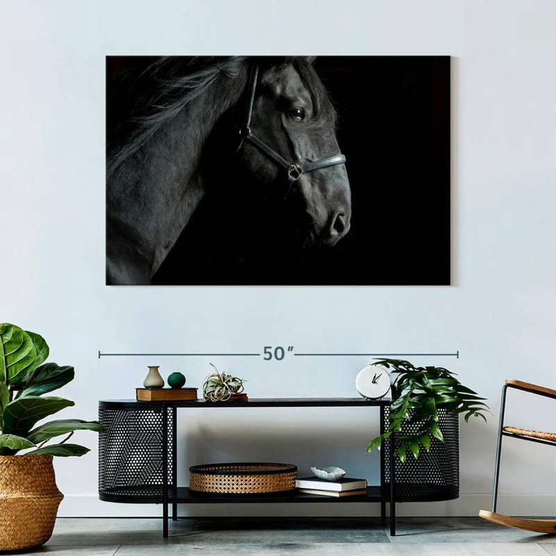 Brampt Horse Head, 32" H x 48" W