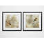 « nature notation », ensemble de 2 reproductions d’impressions encadrées-27609984