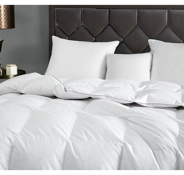 Byourbed Hungarian Goose Down Feather Oversized Comforter - Wayfair Canada