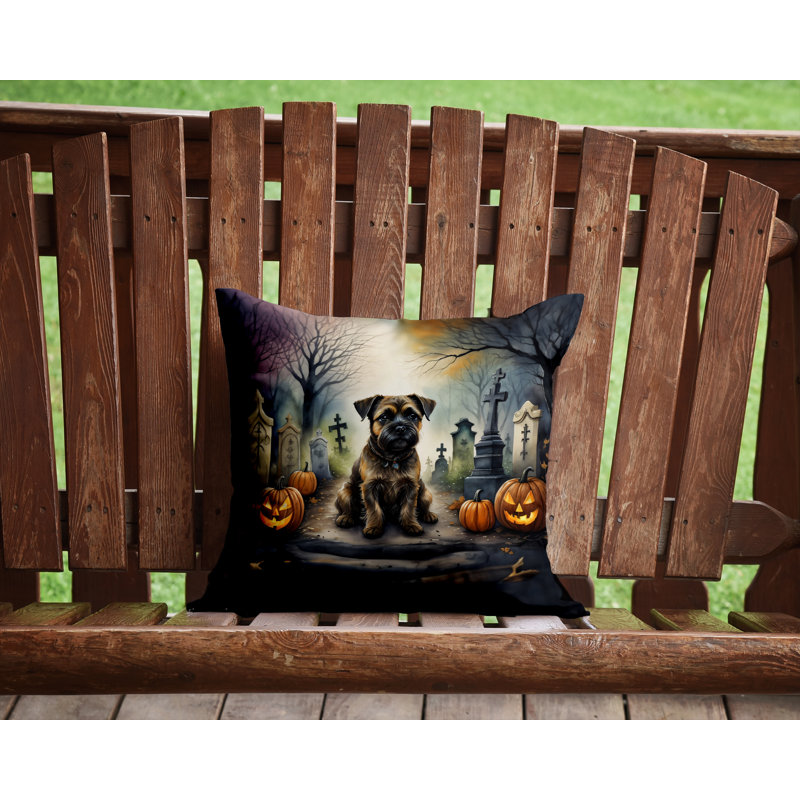  Housse et insert de coussin décoratif en polyester, 14 po x 14 po