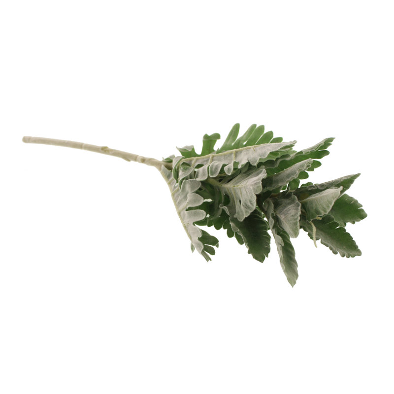 Faux Silk Dusty Miller Arrangement, Green