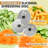 Howork Food Processor 12-Cup 600W Vegetable Chopper for Mincing, Dicing, Shredding, Puree, Ice Creshing & Kneading Dough, Easy Clean-111135548