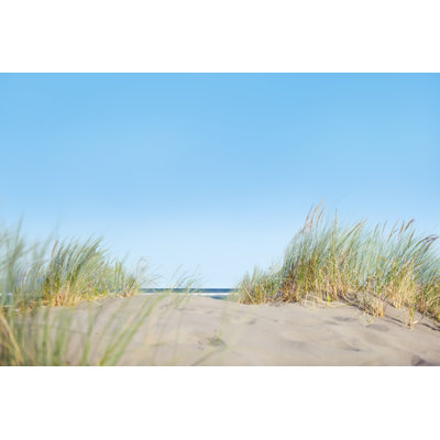 Grass On Beach - Wrapped Canvas Print
