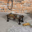 Elevated Feeder-1295862945
