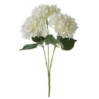 Oakdale Hydrangea Arrangement
