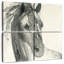 Brampt cheval dans le vent I-109119275