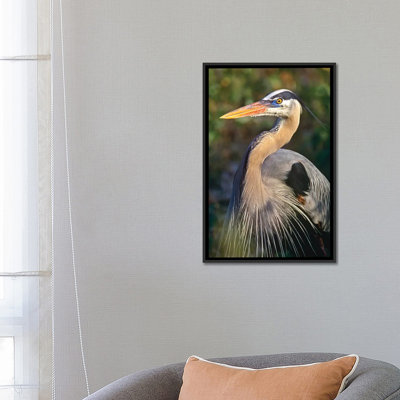 " Great Heron, North America " by Tim Fitzharris