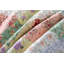  Ensemble de courtepointe réversible en microfibre 3 pièces Sage-268429073