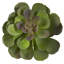 Ensemble de 12 plantes succulentes artificielles Echeveria-1866316393-1866316375