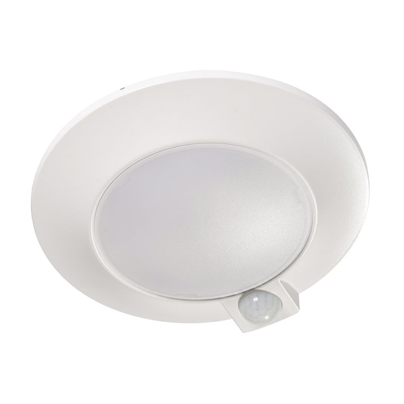 Tinki Acrylic LED Flush Mount