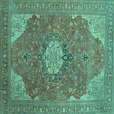 Oriental Indoor Rug