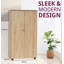 Bundella 2 -Door 3 -Shelf Storage Cabinet
