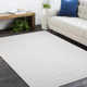 Hainsly Hand Loomed Wool/Viscose/Cotton Area Rug in Alabaster