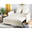 Shellplant Sofa Bed-1697659495