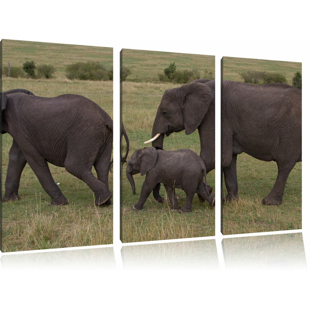 3-tlg. Leinwandbilder-Set „Wandernde Elefantenfamilie“, Fotodruck