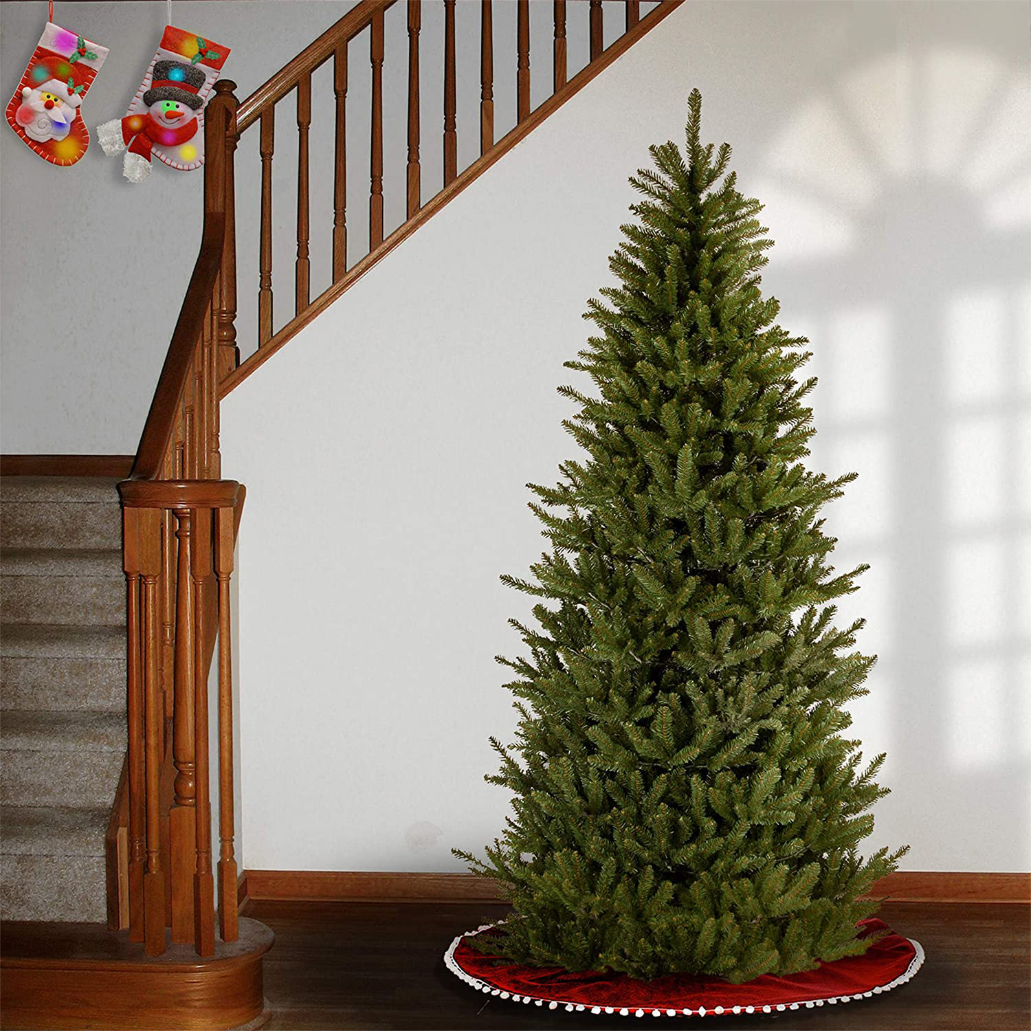 Fraser Fir Christmas Tree, 7.5'