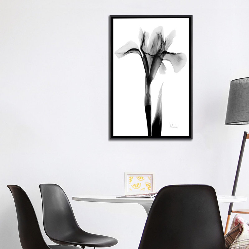 «Expressed Iris I» par Albert Koetsier, impression, Aucun mat, H 40 po x l 26 po x P 1,5 po, Toile avec cadre noir patiné