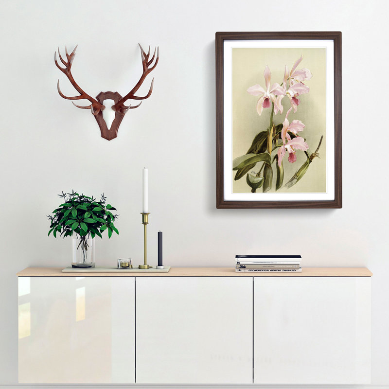 Magnolia Flowers Illustration Tab. 85 by Frederick Sander - Picture Frame Painting Print, 91cm H x 60cm W x 2cm D, Walnut