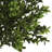 15 " H Faux Foliage Plant