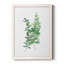 Eucalyptus I-Premium, toile encadrée - prête à être accrochée-61339033-61339030